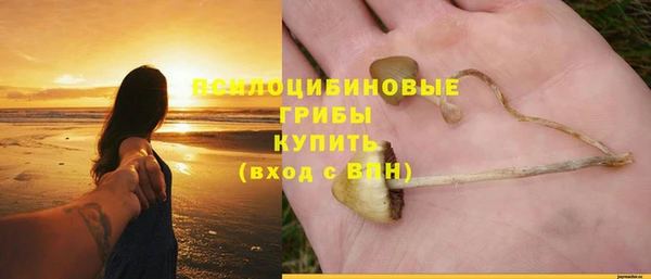 каннабис Покачи