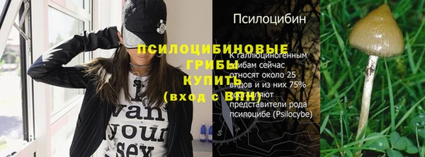 каннабис Покачи