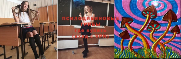 амф Покров