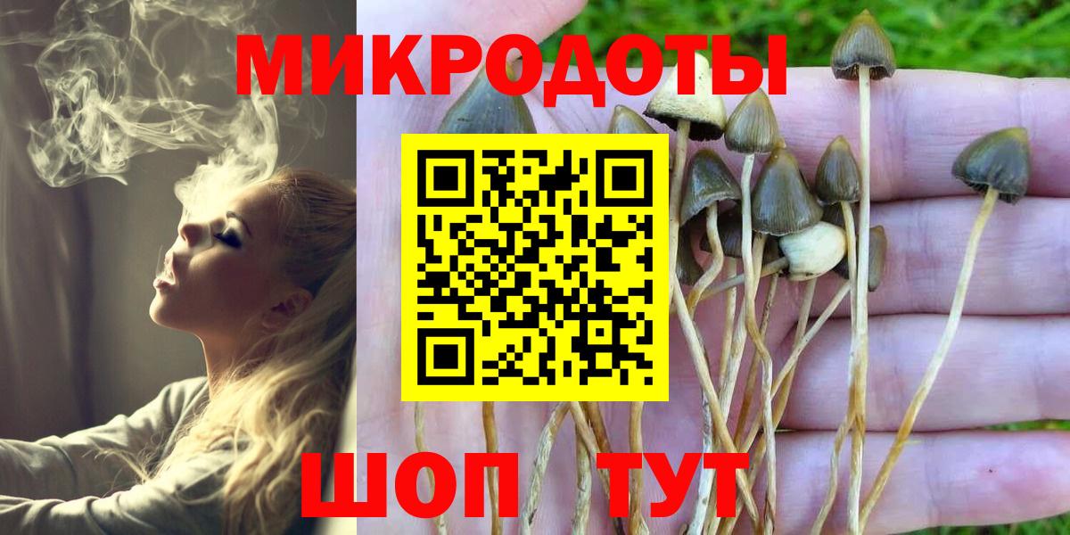 Галлюциногенные грибы GOLDEN TEACHER Гурьевск