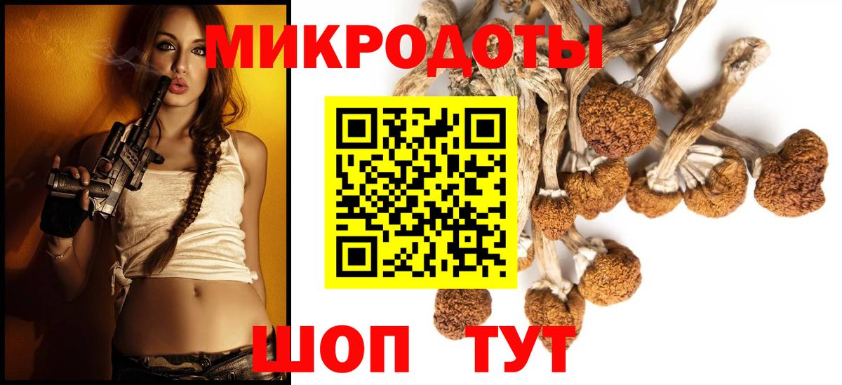 Псилоцибиновые грибы Cubensis Гурьевск