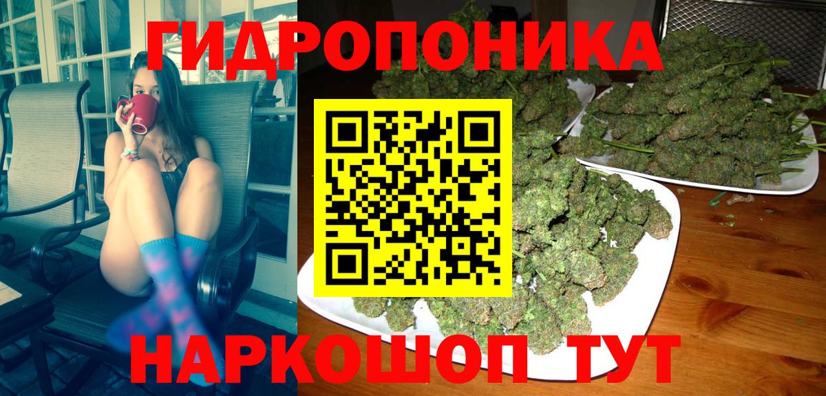 Бошки Шишки план  Шишки марихуана LSD WEED  Гурьевск  Вход с VPN 